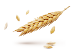 nature & wheat free transparent png image.