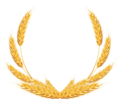 nature & wheat free transparent png image.