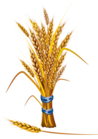 nature & wheat free transparent png image.