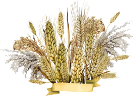 nature & Wheat free transparent png image.