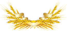 nature & Wheat free transparent png image.