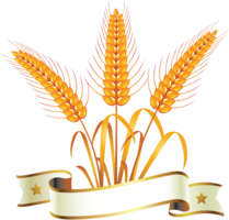 nature & wheat free transparent png image.