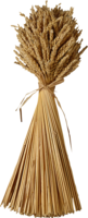 nature & Wheat free transparent png image.