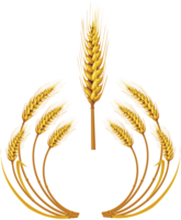 nature & wheat free transparent png image.