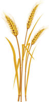 nature & wheat free transparent png image.