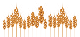 nature & Wheat free transparent png image.