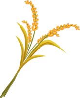 nature & Wheat free transparent png image.