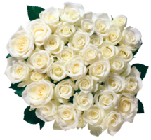 flowers & White roses free transparent png image.