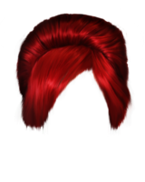 people & Wig free transparent png image.