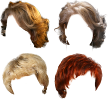 people & Wig free transparent png image.