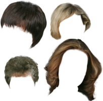 people & Wig free transparent png image.