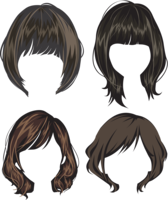 people & Wig free transparent png image.