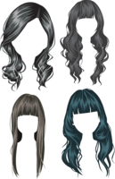 people & Wig free transparent png image.