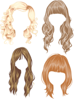 people & Wig free transparent png image.