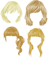 people & Wig free transparent png image.