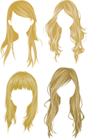 people & wig free transparent png image.