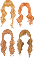 people & Wig free transparent png image.