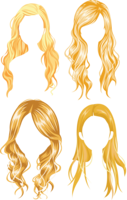 people & wig free transparent png image.