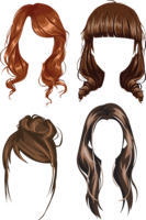 people & wig free transparent png image.