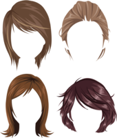 people & Wig free transparent png image.