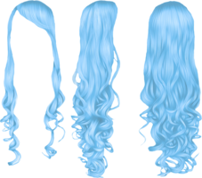 people & wig free transparent png image.