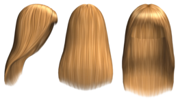 people & wig free transparent png image.