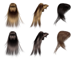 people & wig free transparent png image.