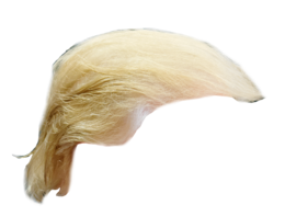 people & wig free transparent png image.