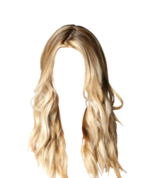 people & Wig free transparent png image.