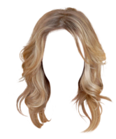 people & Wig free transparent png image.