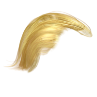 people & wig free transparent png image.