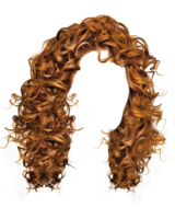 people & wig free transparent png image.