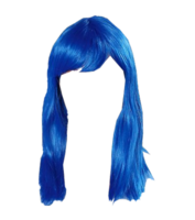 people & wig free transparent png image.