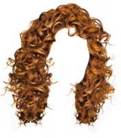 people & wig free transparent png image.