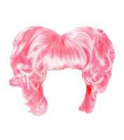 people & Wig free transparent png image.