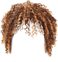 people & wig free transparent png image.