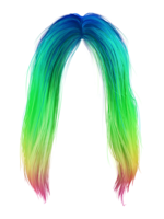 people & Wig free transparent png image.