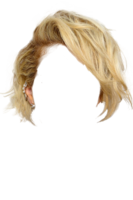 people & wig free transparent png image.