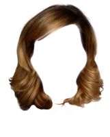 people & Wig free transparent png image.