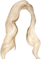 people & wig free transparent png image.