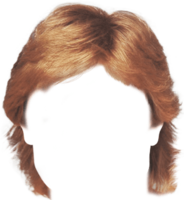 people & wig free transparent png image.