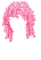 people & wig free transparent png image.