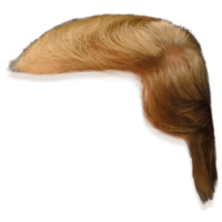 people & wig free transparent png image.