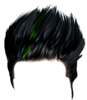 people & Wig free transparent png image.