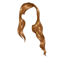 people & Wig free transparent png image.