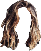 people & Wig free transparent png image.