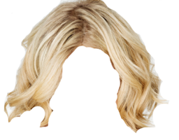 people & wig free transparent png image.