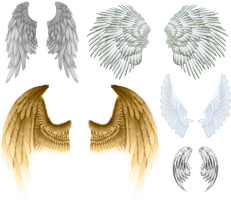 Fantasy & wings free transparent png image.