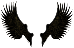 Fantasy & Wings free transparent png image.