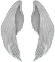 Fantasy & Wings free transparent png image.